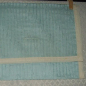 Cosmetic Case Mint Green Springtime Artisan NWOT